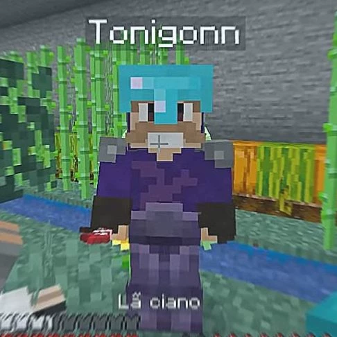 Tonigon thumbnail
