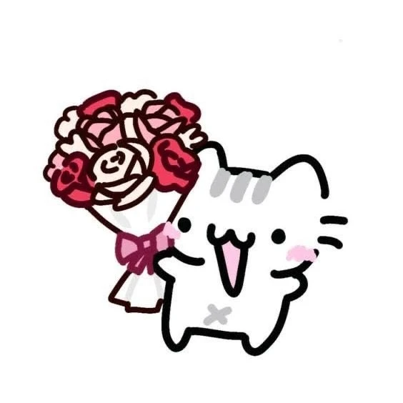 ୨♡୧MEOW