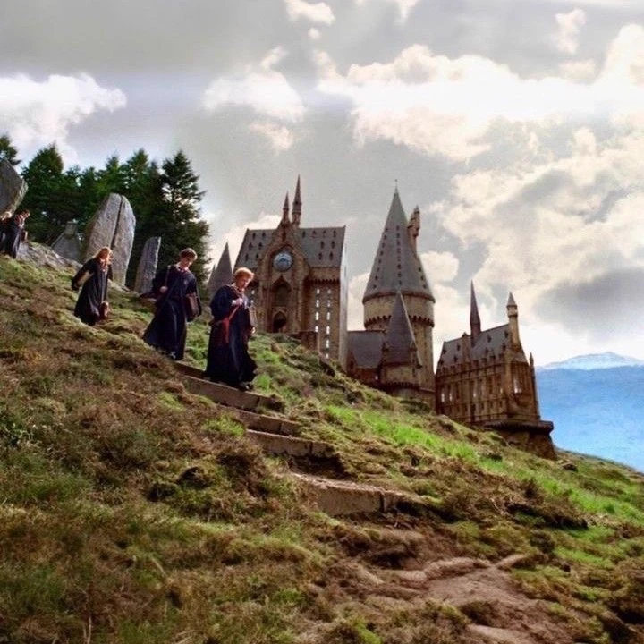 H.P: Goblet of Fire thumbnail