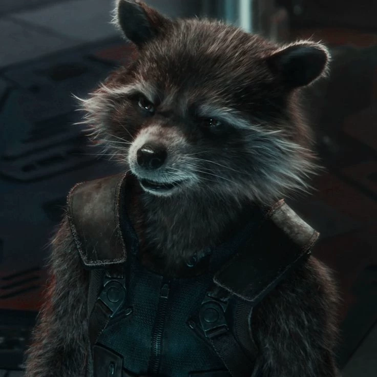 Rocket Raccoon  thumbnail