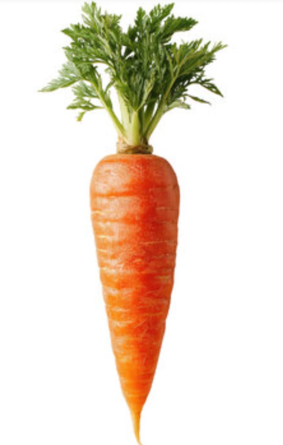 a carrot thumbnail