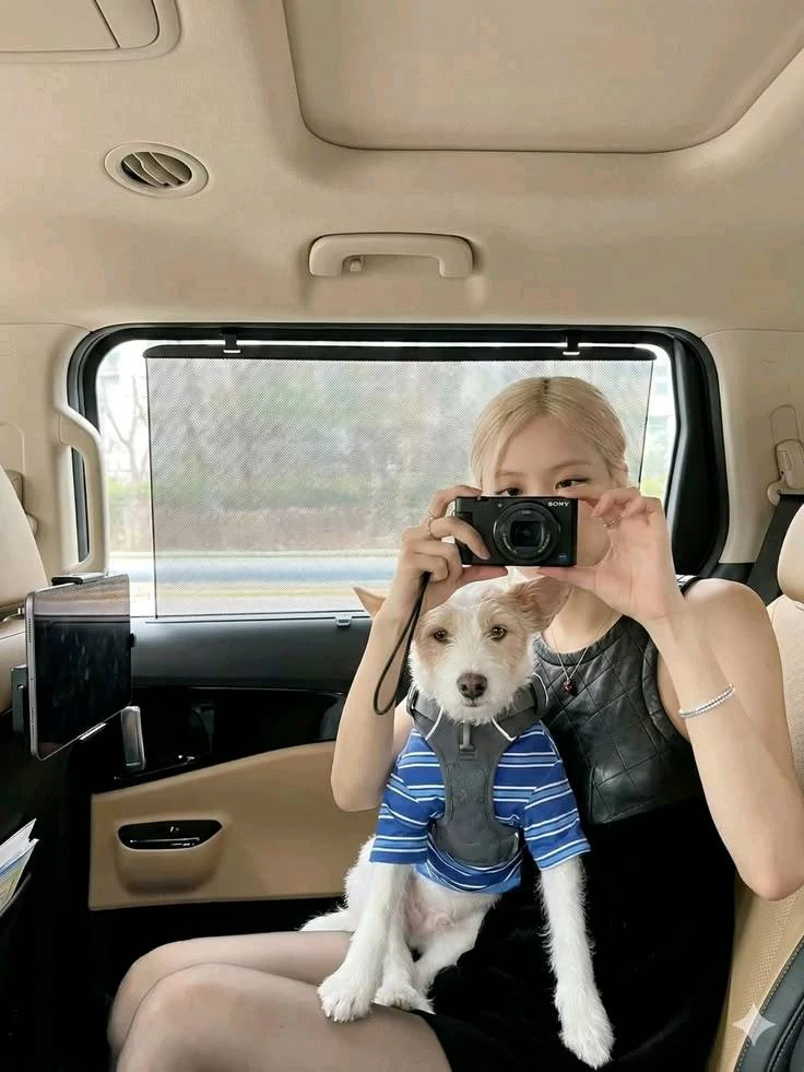 Rosé thumbnail