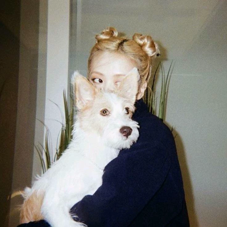 Rosé thumbnail