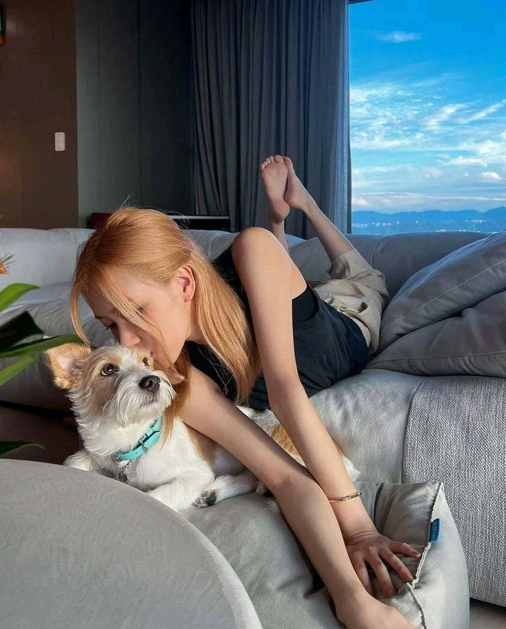 Rosé thumbnail