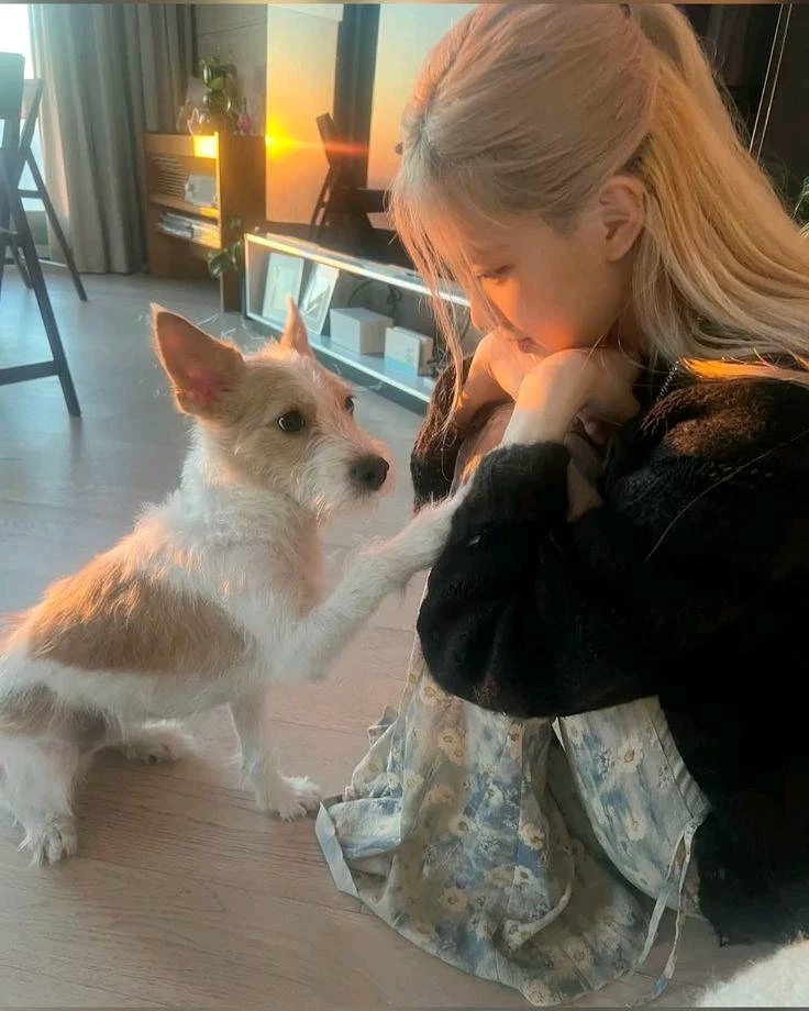 Rosé thumbnail