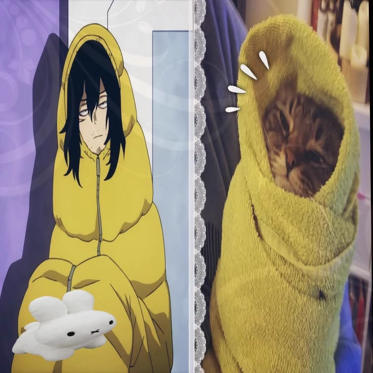 shota aizawa thumbnail