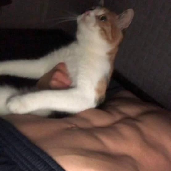 Sylas thumbnail