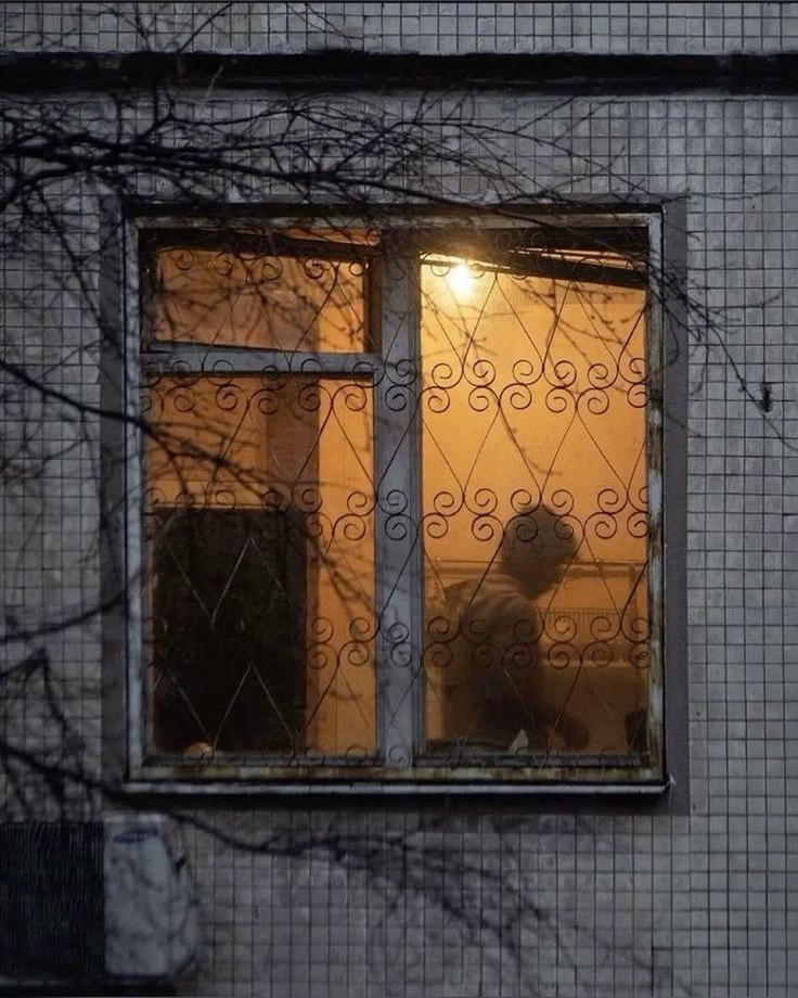 through my window thumbnail