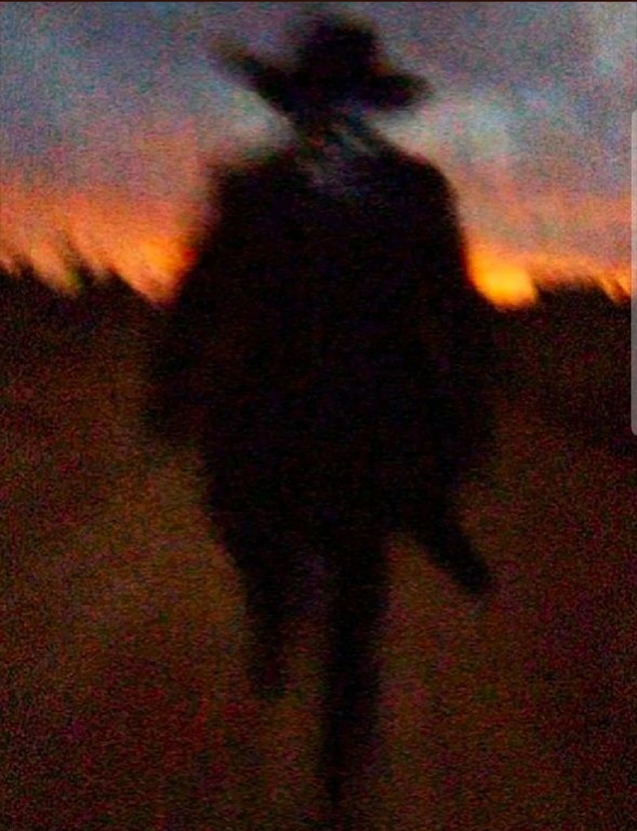 Colt thumbnail