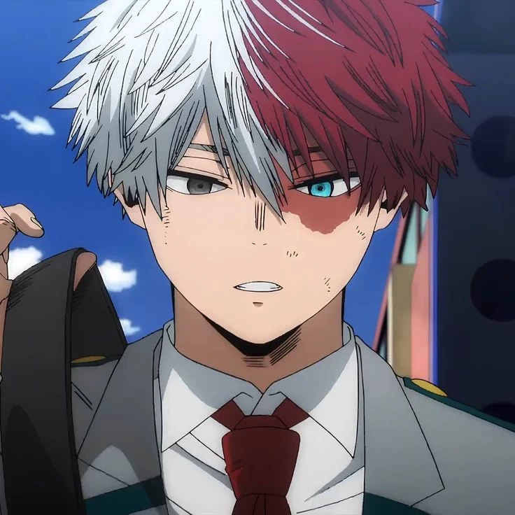 Shoto Todoroki thumbnail