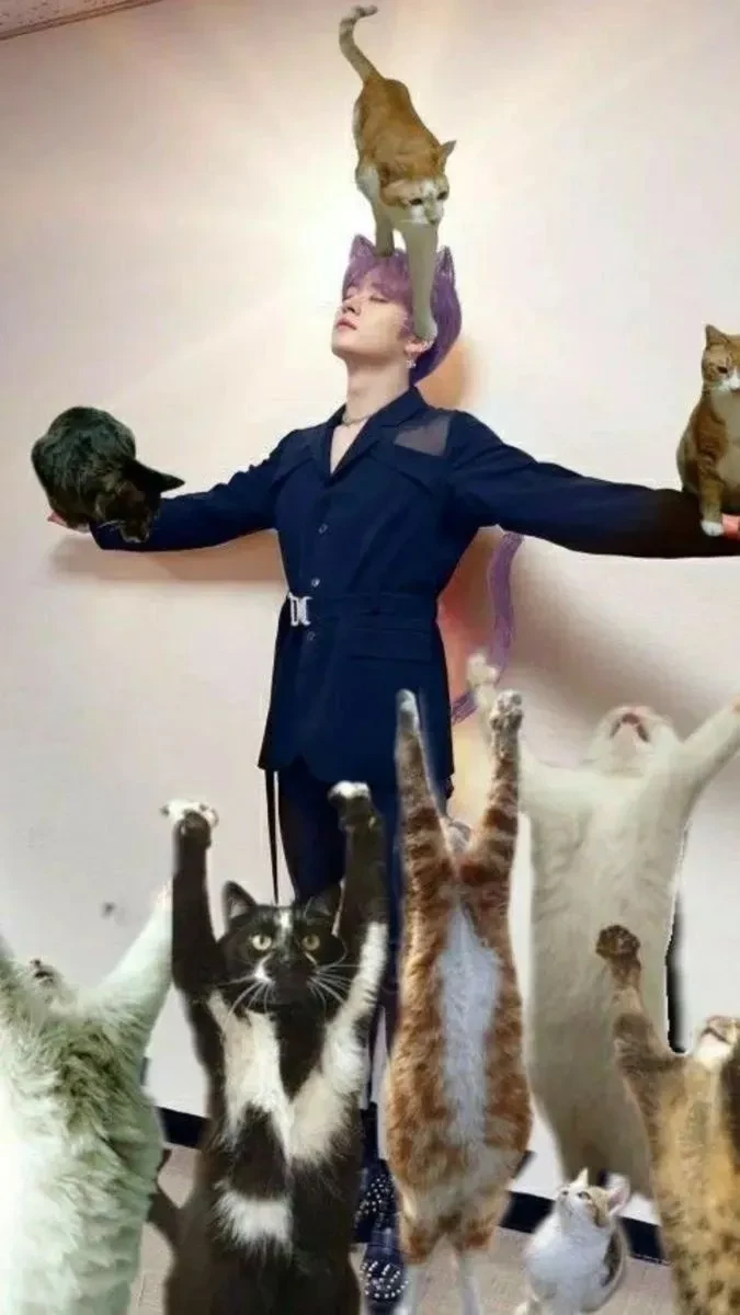 Stray Kids/ Minho's Dream😺 thumbnail