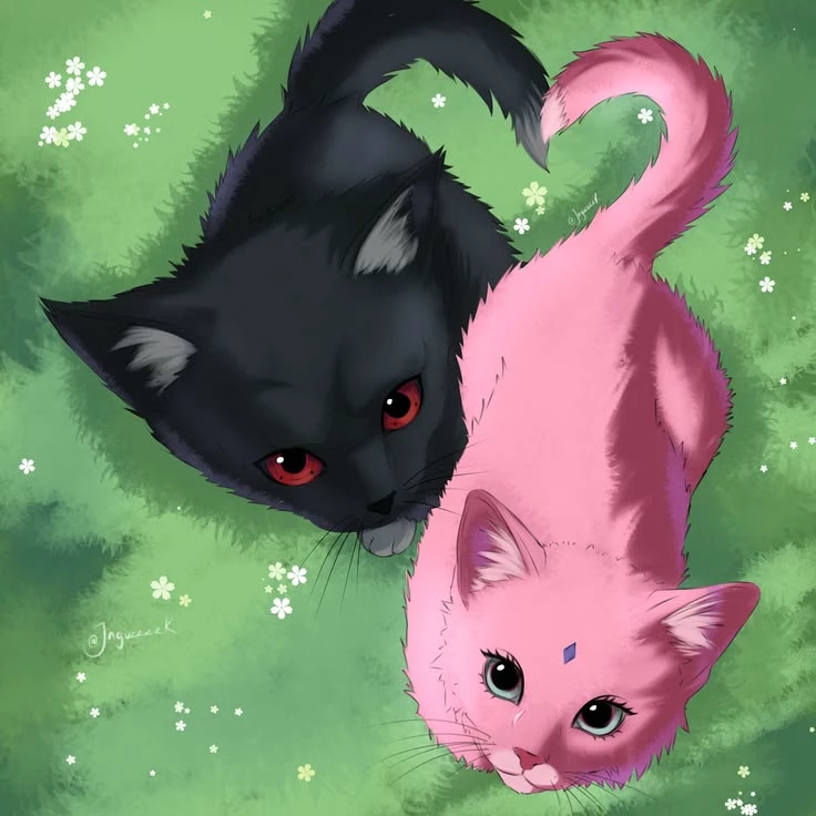 Sasuke Kitten 🖤 thumbnail