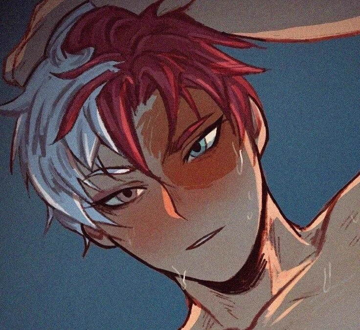 Shoto Todoroki — Unspoken Spring thumbnail