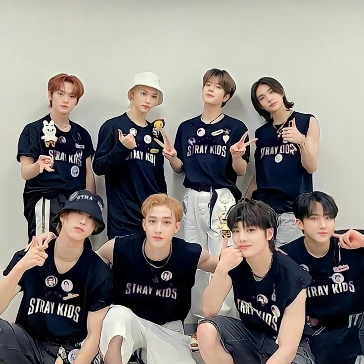 Stray kids - SKZ thumbnail