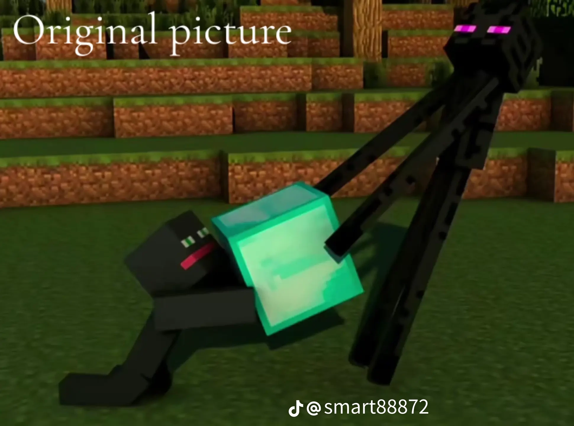 Verity™ thumbnail