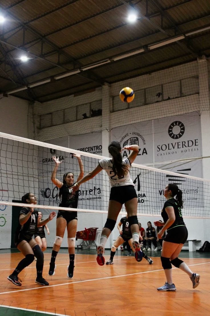 Foxes volleyball team (Au) thumbnail