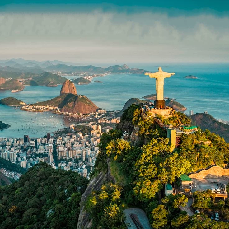 Foxes in Brazil thumbnail