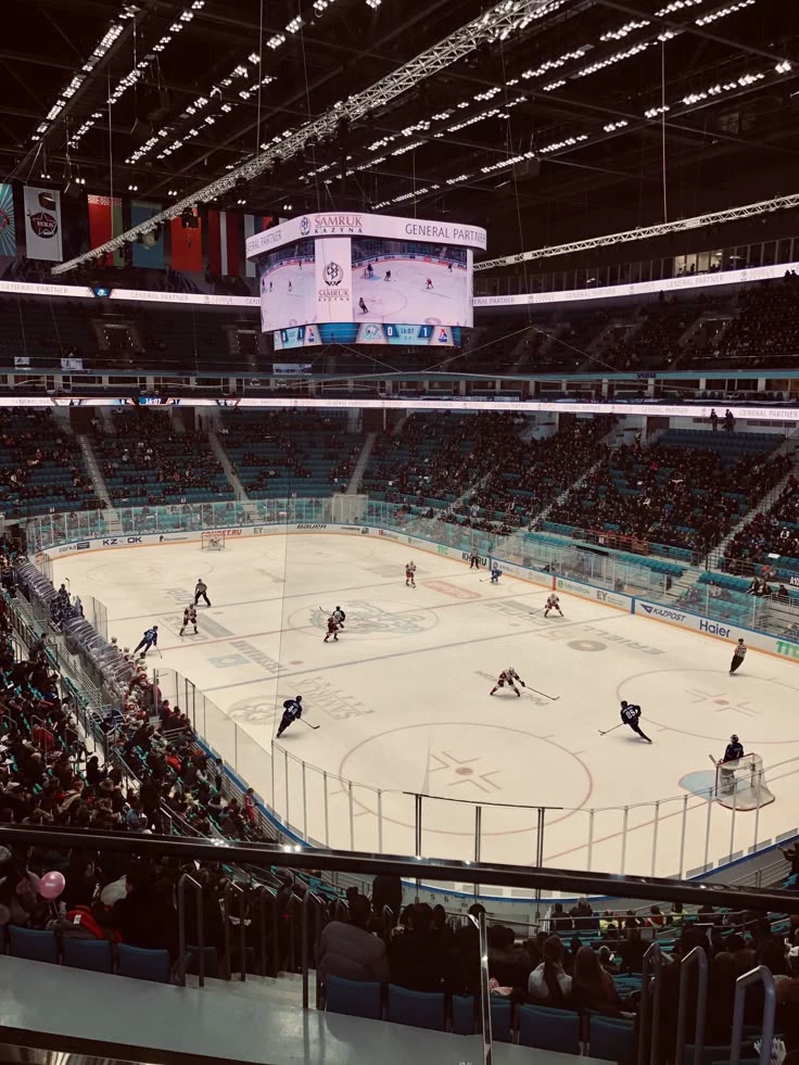 🦊 FOXES - PALMETTO HOCKEY TEAM thumbnail