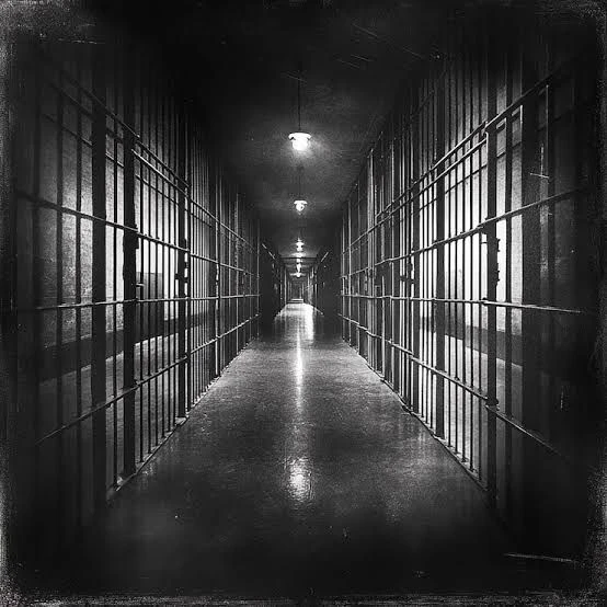 Raven Prison 🦅 thumbnail