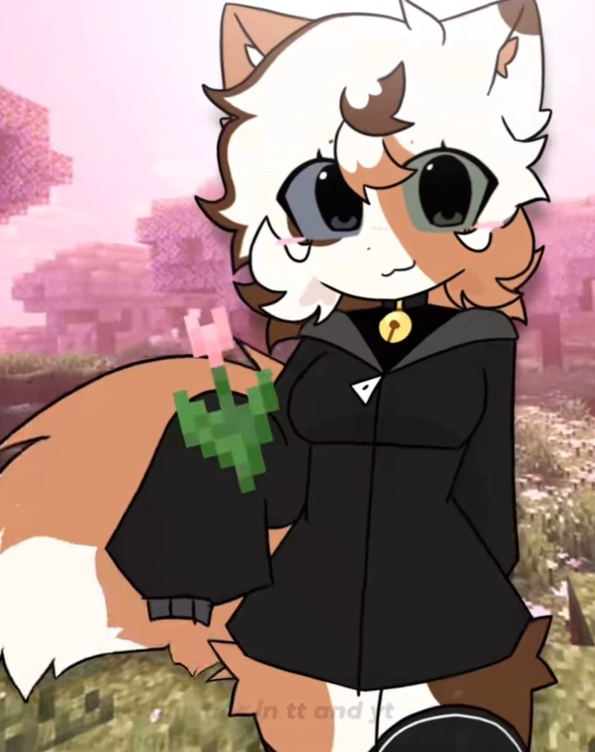 Kelly thumbnail