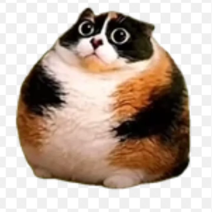 catiness thumbnail