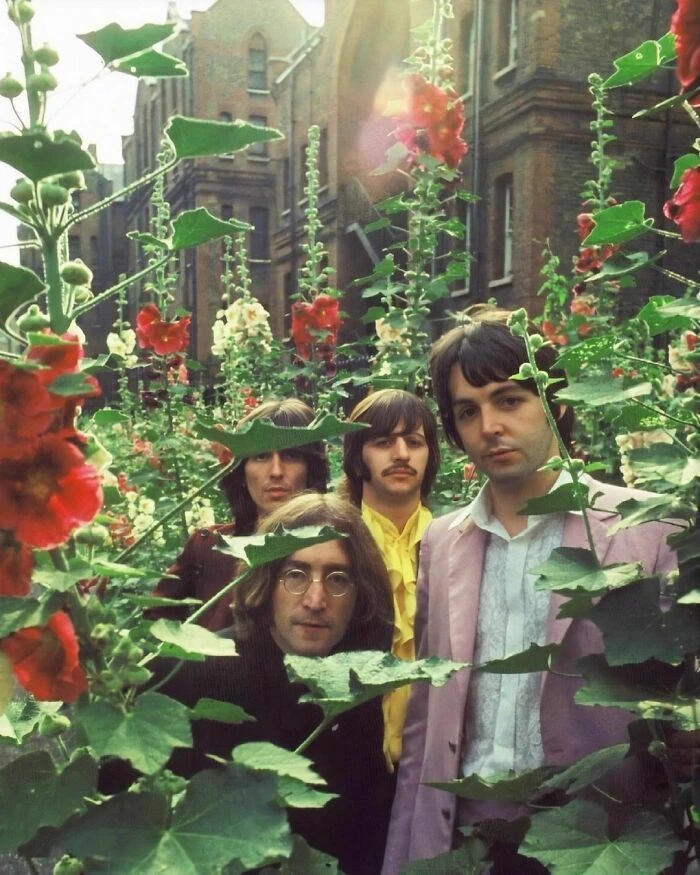 The Beatles thumbnail
