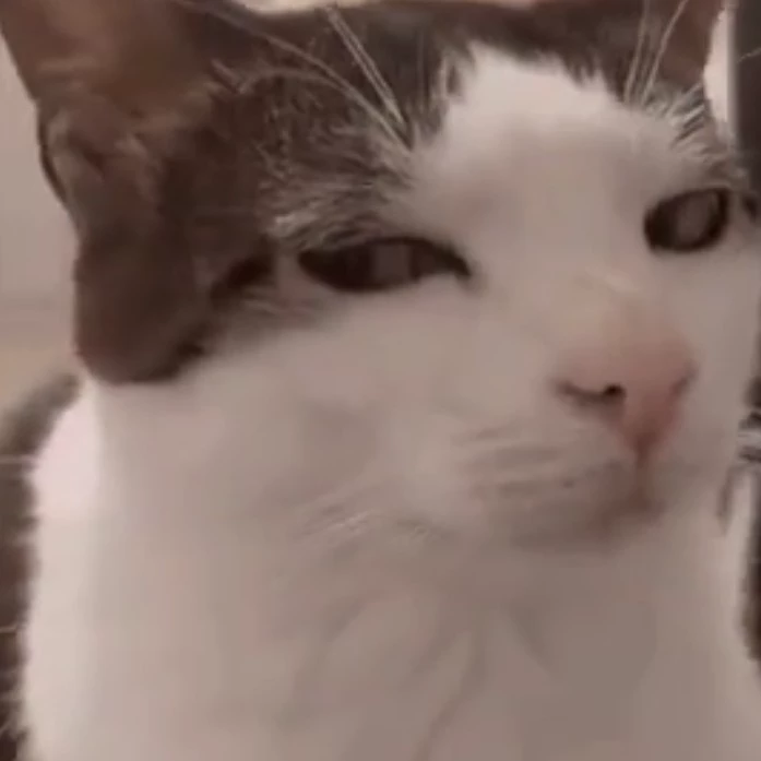 Ari