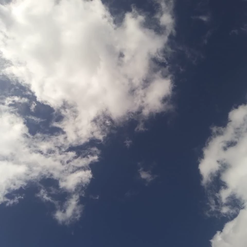 Your bot thumbnail