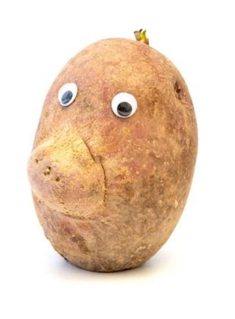 random potato thumbnail