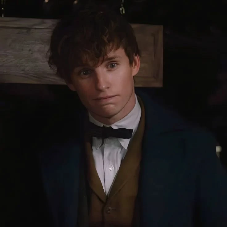 Newt Scamander thumbnail
