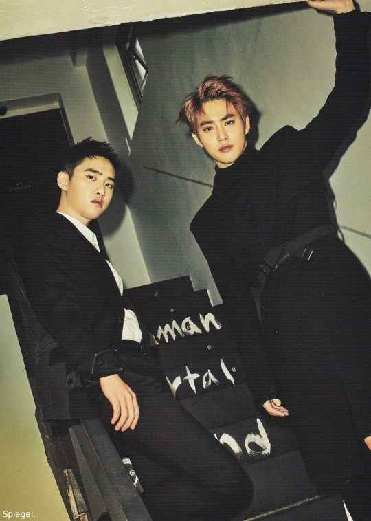 EXO — New Member Pestinha thumbnail