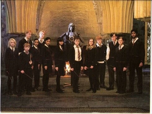 ||~ 🪄 The Order of the Phoenix discovered. thumbnail