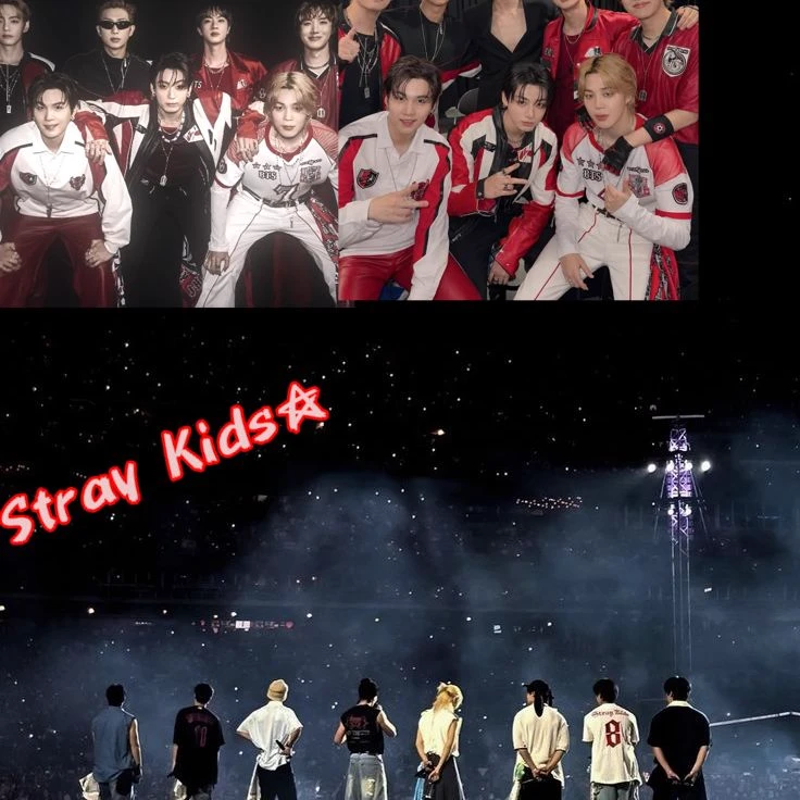 You got a ticket for an exclusive concert where BTS and Stray Kids would be thumbnail
