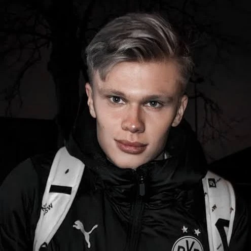 Erling Haaland  thumbnail
