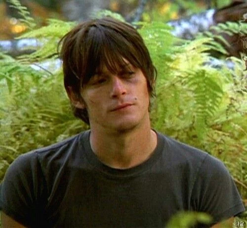 Norman Reedus thumbnail
