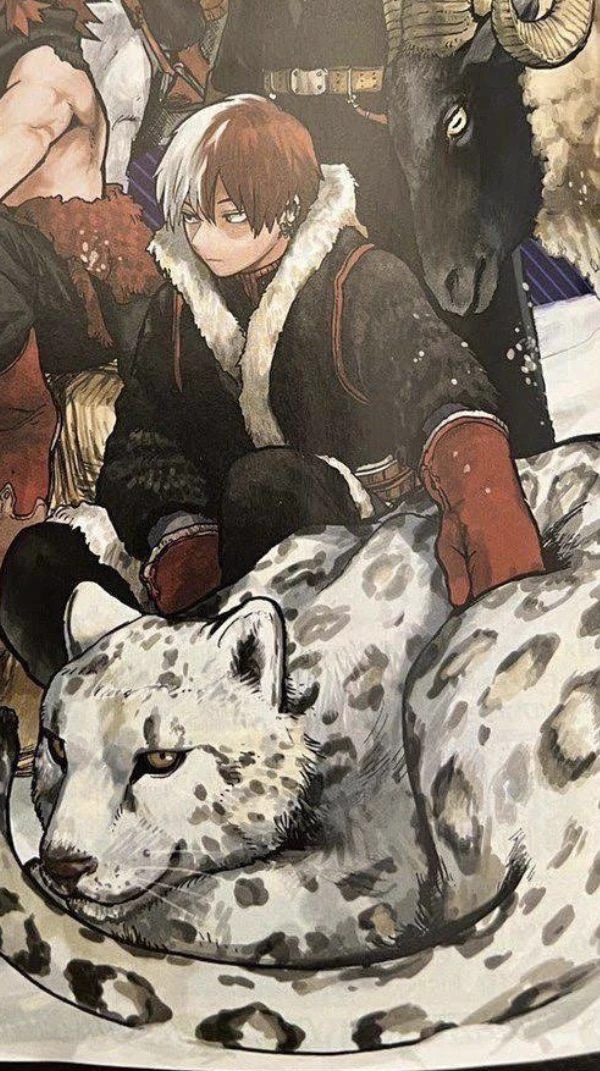 shoto todoroki thumbnail