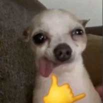 NokturnVoid