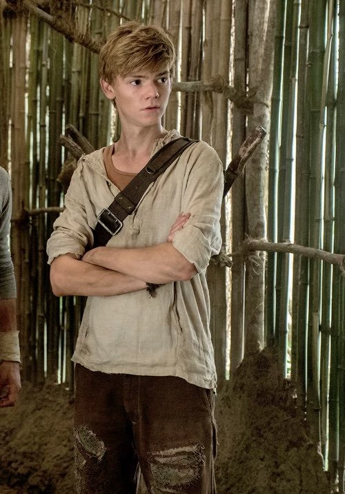 Newt thumbnail