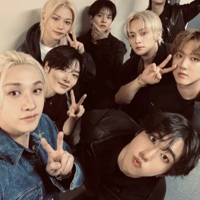 Stray Kids - BL thumbnail