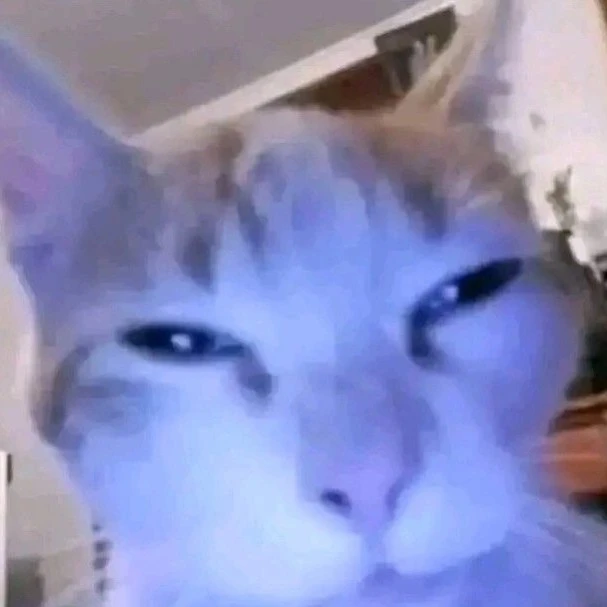 Chacota