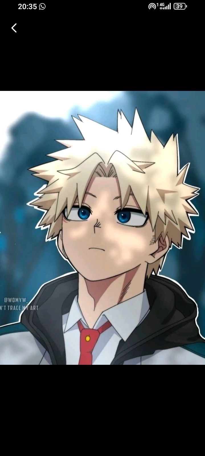 Bakugou twin brother  thumbnail