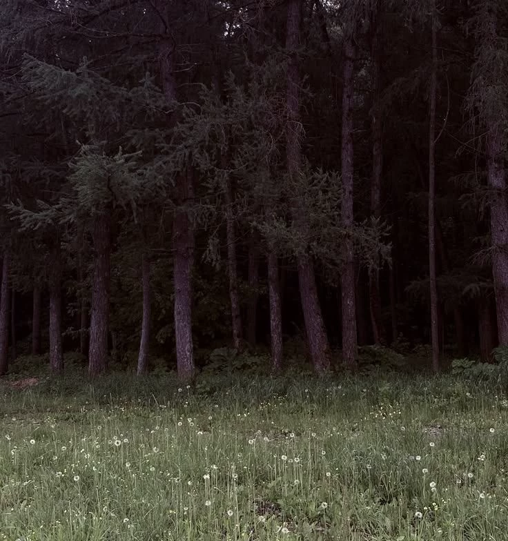 Survive. thumbnail