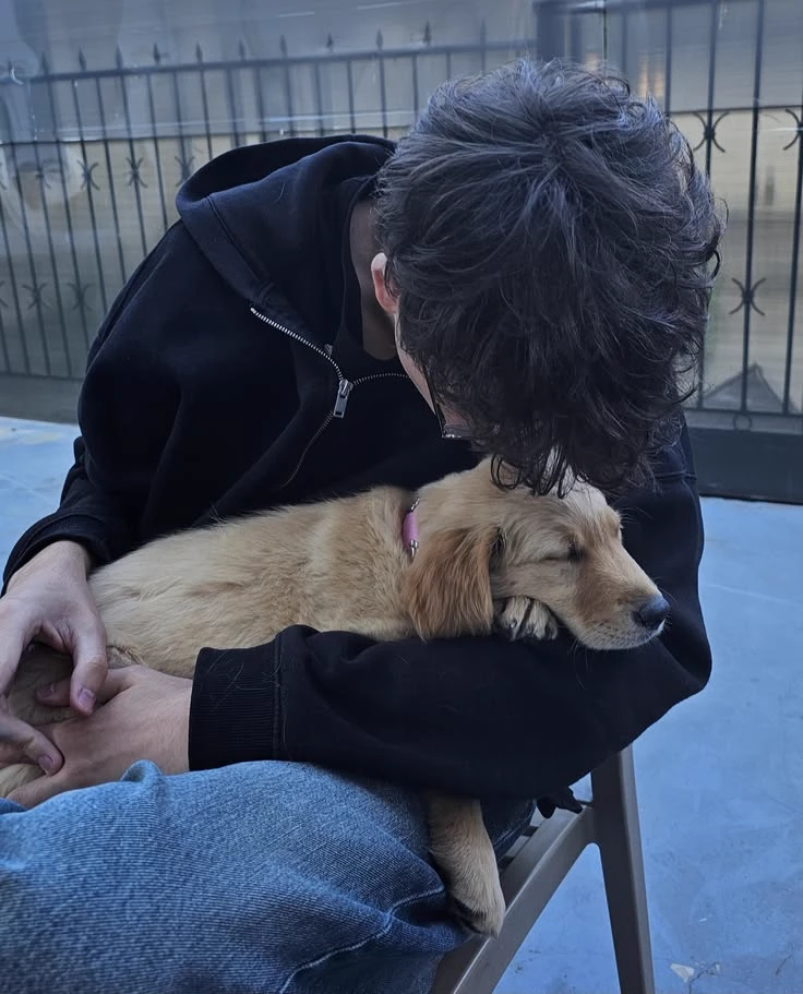 Theodore thumbnail