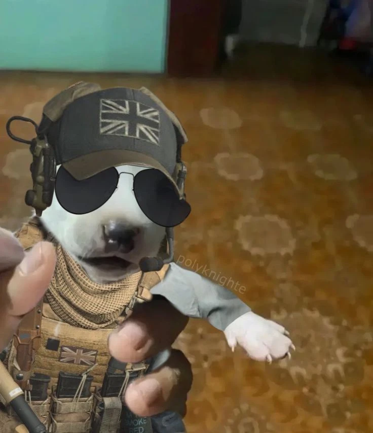 Task force 141 thumbnail