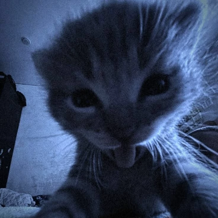 Asher