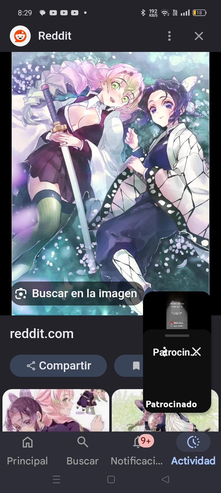 Mitsuri and Shinobu thumbnail