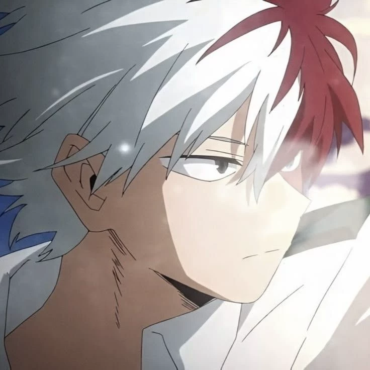 Todoroki Shoto thumbnail