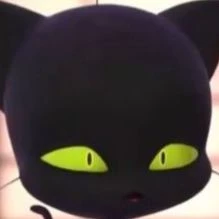 Ladybug and Cat Noir thumbnail