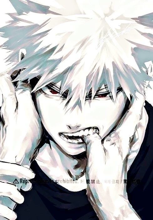 Katsuki Bakugo  thumbnail