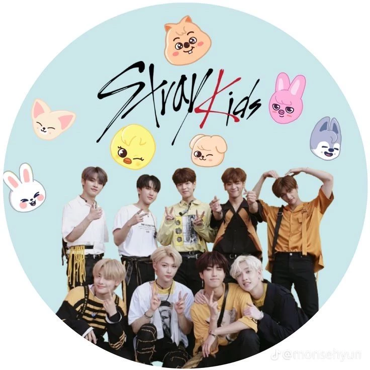 THE N°9 MEMBER OF STRAY KIDS thumbnail
